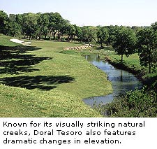 Doral Tesoro