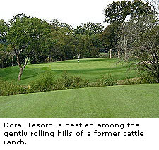 Doral Tesoro