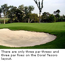 Doral Tesoro