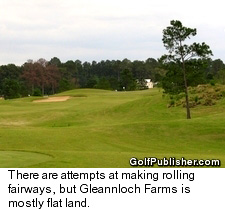 Gleannloch Farms Golf Club - fairway - Houston, Texas golf course