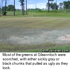 Gleannloch Farms Golf Club scorched green - Houston, Texas course