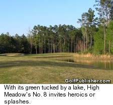 High Meadow Ranch Golf Club - Houston, Texas - No. 8