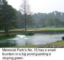 Memorial Park's No. 15