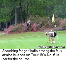 Faux Azalea Bushes On Tour 18's No. 6