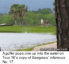 Tour 18 Sawgrass Island Green