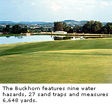 The Buckhorn in Comfort