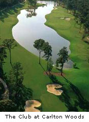Diamondback Golf Academy