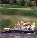 Hole No. 15