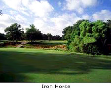 Iron Horse