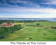 The Tribute at The Colony