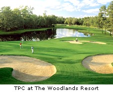 woodlands resort course golf texas tpc