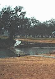 The approach over Sulphur Creek to the No. 13 green.