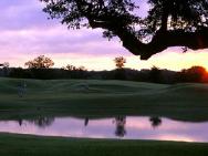 Hyatt Hill Country Resort