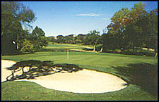 Mill Creek #13