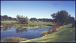 Mill Creek #8