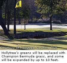 Hollytree's Green