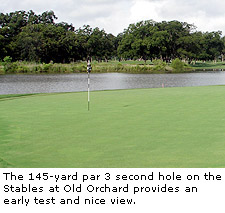 Old Orchard Second Hole